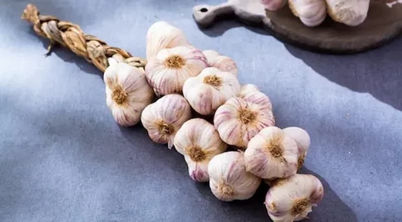 تصویر 1 از سیر اصفهان سفید تازه حبه‌ های بلند و خوش‌ فرم